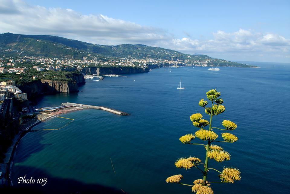 Готель Sorrento Coast Relais Мета Екстер'єр фото